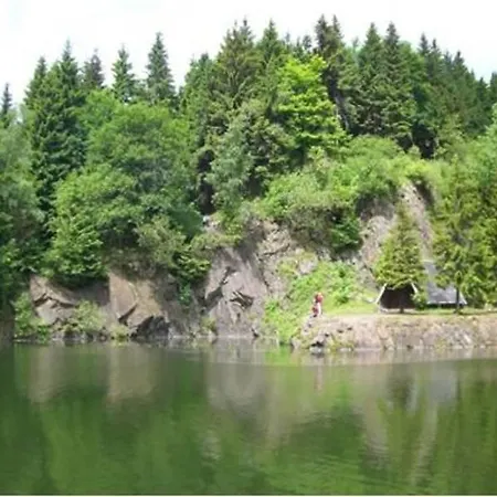 Σπίτι διακοπών Ferienhaus Tambach_dietharz Thu 041 *